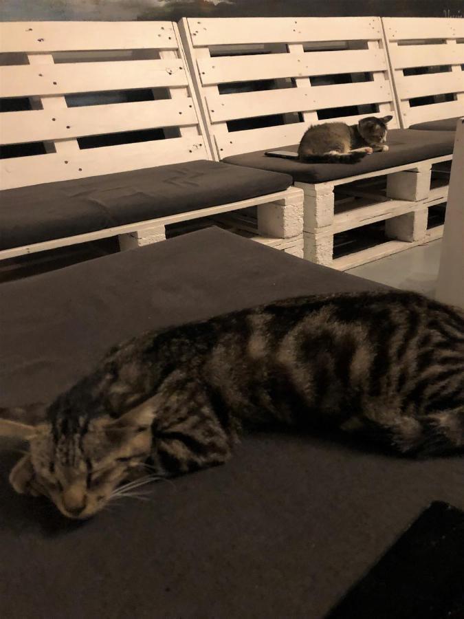 Rembulan Langkawi Guesthouse Pantai Cenang  Zewnętrze zdjęcie